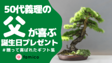 60代義理の父が喜ぶ誕生日プレゼント30選 ランキング 21
